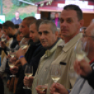 VII. Szigetköz ízei, Vármegye borai fesztivál péntek 1. (Fotó: Nagy Mária)