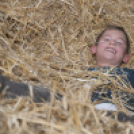 Szigetköz ízei vármegye borai fesztivál /szombat/