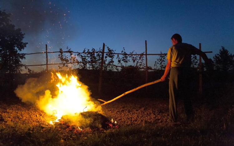 Tilos lesz jövőre a kerti hulladékok égetése