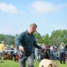 CAC kutyakiállítás (Fotó: Nagy Mária)