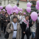 Egészség Hídja Összefogás - Lajtahidi séta