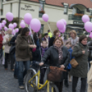 Egészség Hídja Összefogás - Lajtahidi séta