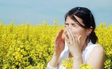 Csökkent a levegőben a pollenkoncentráció