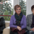 Egészség Hídja Összefogás - Lajtahidi séta