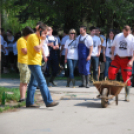 Parasztolimpia 2013 - 2 (Fotó: Nagy Mária)