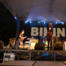 Majális a Wittmann Antal parkban / délután - este /