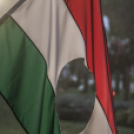 1956-os városi Megemlékezések és Gyásznap /Mosonmagyaróvár/