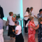 Nők a Városért 20 éves Jubileumi Gála (Fotó: Stipkovits Veronika)