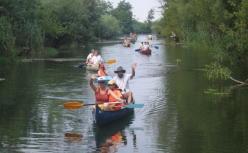 DUNASZIGETI ÉLETMÓD TÁBOR 2013