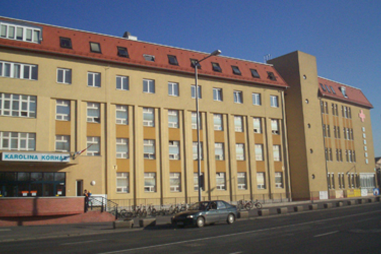 Karolina Kórház Jótékonysági Vására