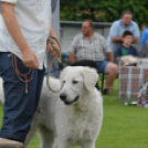 Mosonmagyaróvári Kutyakiállítás