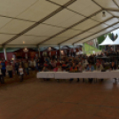 Szigetköz ízei, Vármegye borai Fesztivál (vasárnap) (Fotó: Horváth Attila)