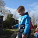 Faültetés a Nolato-nál (Fotó: Nagy Mária)