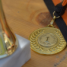 Márkafüggetlen Autós Találkozó Mosonmagyaróvár-Halászi (fotó: Horváth Attila)