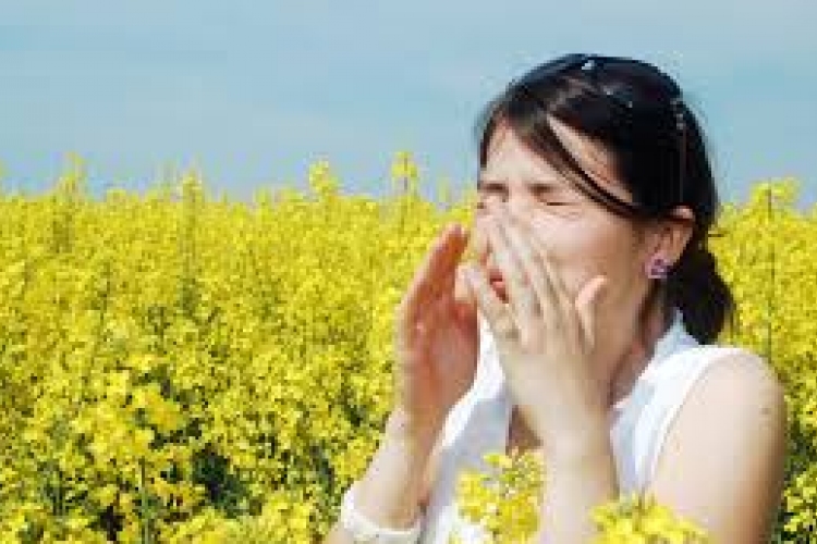 Csökkent a levegőben a pollenkoncentráció