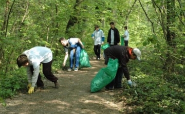 Takarítás a Wittmann parkban 