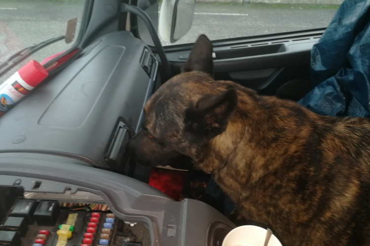 Másfél milliót érő cigi a sofőröknél