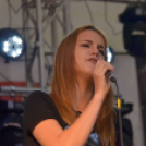 Szigetköz ízei, Vármegye borai Fesztivál (vasárnap) (Fotó: Horváth Attila)