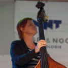 Szigetköz ízei vármegye borai fesztivál /szombat/