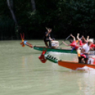 Voluta 2 nap (Fotó: Stipkovits Veronika és Bánhegyi István)