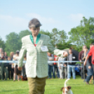 CAC kutyakiállítás (Fotó: Nagy Mária)