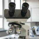 Kossuth Lajos Gimnáziumi felújításának átadója