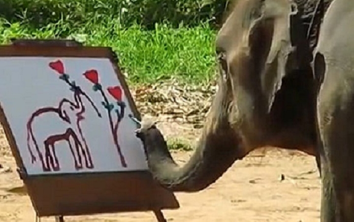 Le fog esni az álla! Önarckép egy elefánttól (videó)