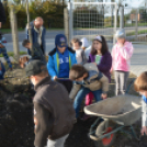 Faültetés a Nolato-nál (Fotó: Nagy Mária)