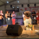 Szigetköz ízei, Vármegye borai Fesztivál (vasárnap) (Fotó: Horváth Attila)