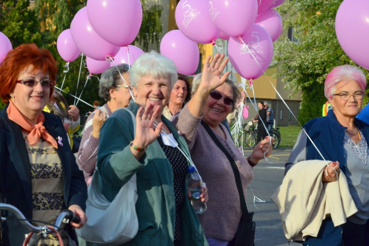 Lajta hídi séta 2015 (fotó: Patács Judit)