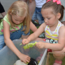 Gyermeknap a Hansági Múzeumban (Fotó: Bánhegyi István)