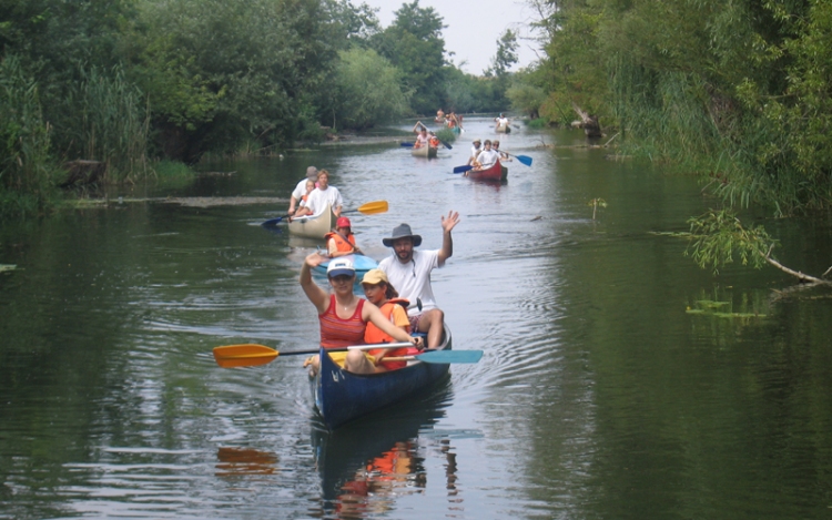 DUNASZIGETI ÉLETMÓD TÁBOR 2013