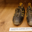 Albert Flórián Emlékkiállítás (Fotó: Horváth Attila)