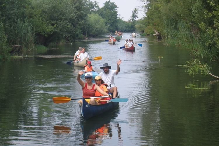 DUNASZIGETI ÉLETMÓD TÁBOR 2013