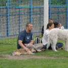 Mosonmagyaróvári Kutyakiállítás