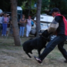 Szigetköz Ízei, Vármegye Borai Fesztivál délután  (Fotó: Nagy Mária)