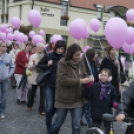 Egészség Hídja Összefogás - Lajtahidi séta