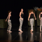 Okay Dance Gála 2015 II.