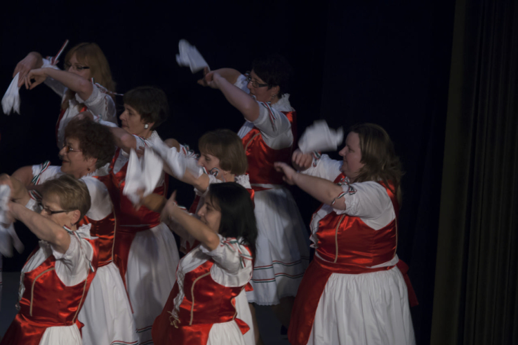 Bemutatkozik az Életfa Nagycsaládosok Egyesülete