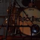 Szigetköz ízei, Vármegye borai Fesztivál (vasárnap) (Fotó: Horváth Attila)