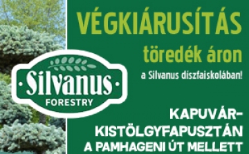 Végkiárusítás a Silvanus díszfaiskolában