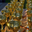 Márkafüggetlen Autós Találkozó Mosonmagyaróvár-Halászi (fotó: Horváth Attila)