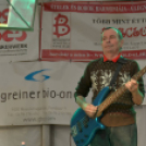 Szigetköz ízei, Vármegye borai Fesztivál (vasárnap) (Fotó: Horváth Attila)