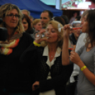 VII. Szigetköz ízei, Vármegye borai fesztivál péntek 2. (Fotó: Nagy Mária)