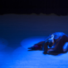 Jótékonysági műsor a Fehér Ló táncos kiscsoportjainak javára.