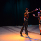 Jótékonysági Műsor