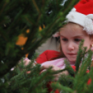 Karácsonyfát díszítettek az óvodások (Fotó: Nagy Mária)