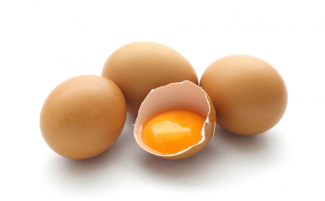 A tojások lámpázásának fontossága