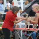 Mosonmagyaróvári Kutyakiállítás