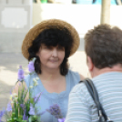 Csengő-Bongo Levenduladélután